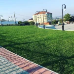 Фото №2 Благоустройство территории