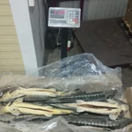 Фото №3 Осётр аквакультура