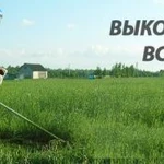 Выкос - быстро и качественно