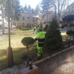 Фото №2 Спил деревьев измельчитель веток 