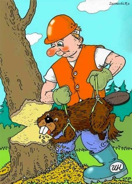 Фото Спил деревьев