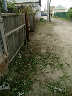 Фото Покос травы, камыша,поросли