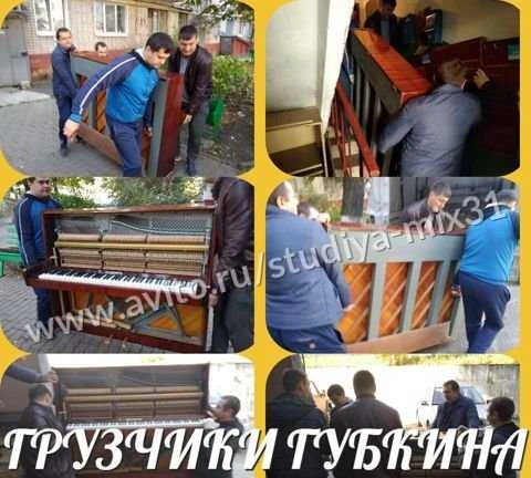 Фото Грузчики