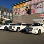 Фото №5 Прокат лимузинов и авто на свадьбу