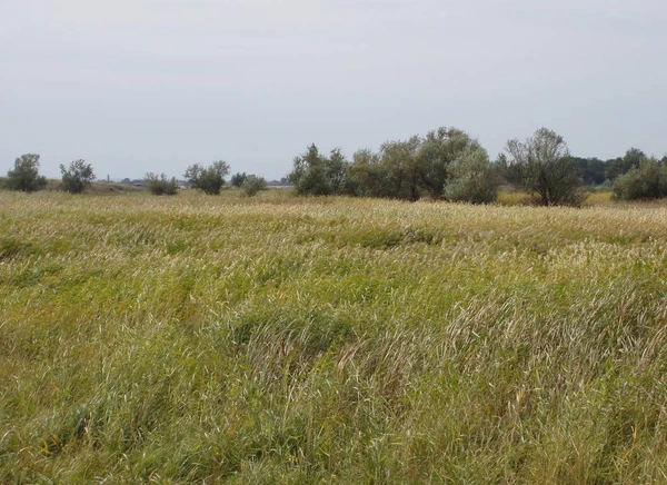 Фото Продаю земельный участок 7,5 га на Азовском море.