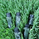 фото Сок ростков пшеницы - Витграсс