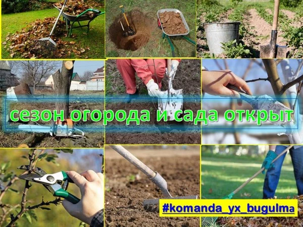 Фото Землякопы Дворники Помощники по дому(двору и огороду, саду)