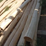 Фото №2 Акация, дуб, ясень, карагач пиломатериалы, кругляк оптом от производителя.