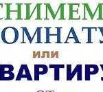 Звоните или пишите, поможем сдать или снять