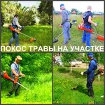 Покос( скос, выкос) травы и кустарников.