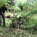 Расчистка участка, вывоз мусора, спил деревьев и многое др. 