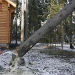 Фото №7 Спил деревьев расчистка участков, покос травы.