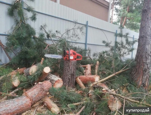 Заказать расчистку участка. микрорайон ВАИ, Стрелица, Хреновое.