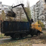 Фото №6 Услуги по спиливанию деревьев