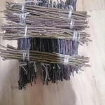 фото Веточки плодовых деревьев лесных.