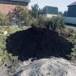 Фото №4 ЧЕРНОЗЕМ 