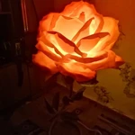 Фото №3 Ростовые цветы светильники 