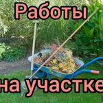 Фото №2 Обрезка плодовых деревьев Работы в саду