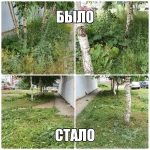 Фото №6 Покос травы триммером. Нефтекамск
