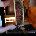 Фото №3 Мёд, трутневой гомогенат, маточное молочко