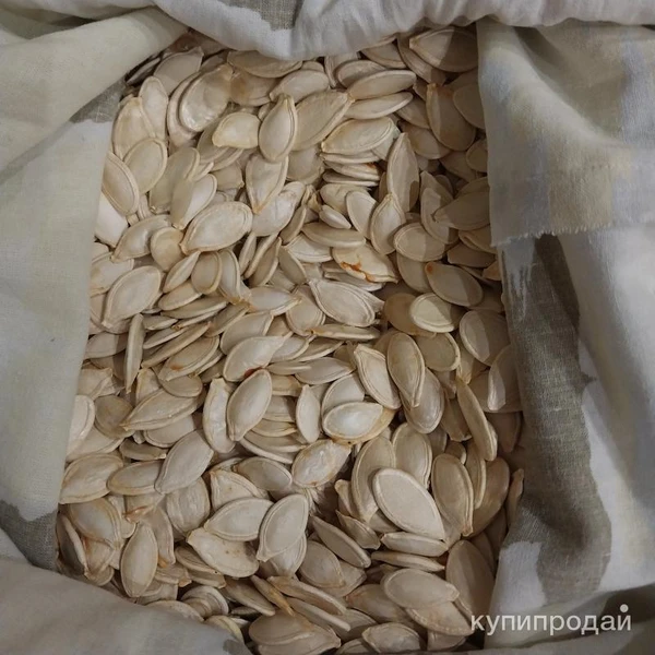Фото Семечки тыквы