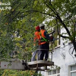 Фото №9 Вырубка деревьев,  спилим, обрежем
