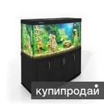 Фото №4 Магазин аквариумов Seaprice в Москве. Аквариумы, террариумы, оборудование