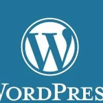 Разработчик сайтов на Wordpress