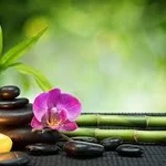 Massage.body