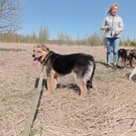 Фото №4 Юга