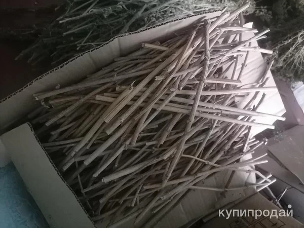 Фото Веточки калины дикой. Цена за 1 кг.