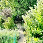 Фото №11 Дача 6 соток, СНТ Центральный, Дубовский р-н, Волгоградская обл.