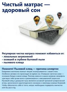 Фото Уничтожение клещей-сапрофитов,клопов