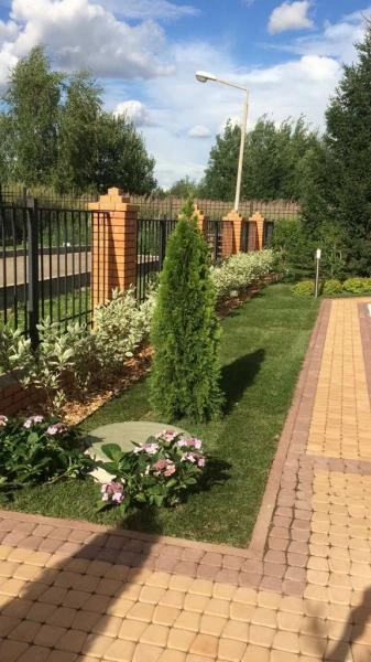 Фото Культивация земли минитрактором