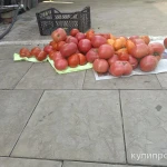 Фото №2 Помидоры ?