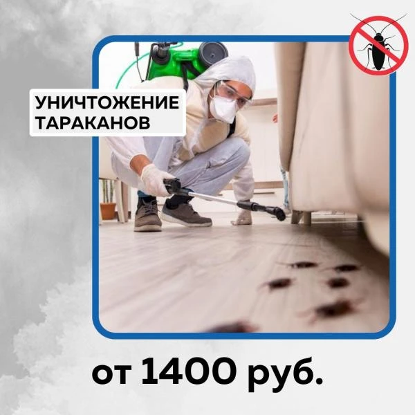 Фото Уничтожение тараканов