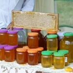 Мёд горный Башкирский (липово-цветочный) доставка