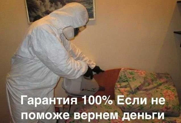 Фото Уничтожение клопов тараканов блох обработка