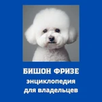 Фото №2 Книга "Бишон фризе. Энциклопедия для владельцев"