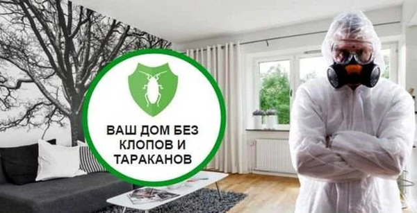 Фото Обработка от клопов тараканов