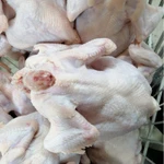 Фото №10 Фермерское мясо тушки цыпленка бройлера