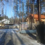 Фото №21 ПРОШЛО 2 ГОДА. Спил деревьев - КОМАРОВО. (Зеленогорск) 