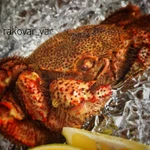 Краб Волосатик