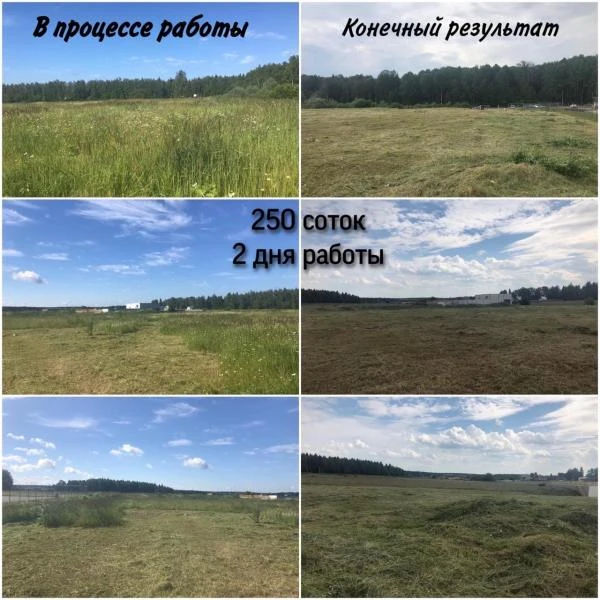 Фото Покос травы, спиливание деревьев