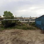 Фото №3 Спил деревьв,благоустройство
