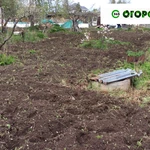 Фото №6 Вспашка мотоблоком. Посадка газона.