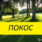 Покос (Скос ) травы бензо тримером