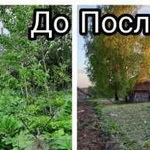 Уборка участка, расчистка территории, покос травы