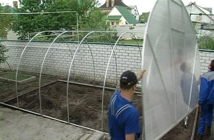 Фото Установка и ремонт теплиц из сот. поликарбонат