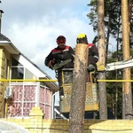 Фото №6 Спил, обрезка деревьев альпинистами и с автовышки. 
